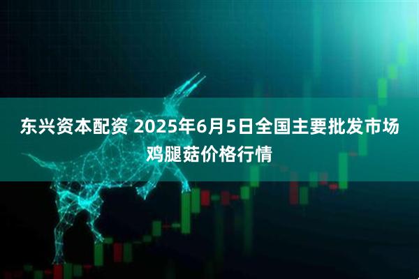 东兴资本配资 2025年6月5日全国主要批发市场鸡腿菇价格行情