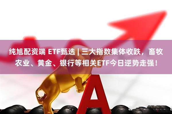 纯旭配资端 ETF甄选 | 三大指数集体收跌，畜牧农业、黄金、银行等相关ETF今日逆势走强！