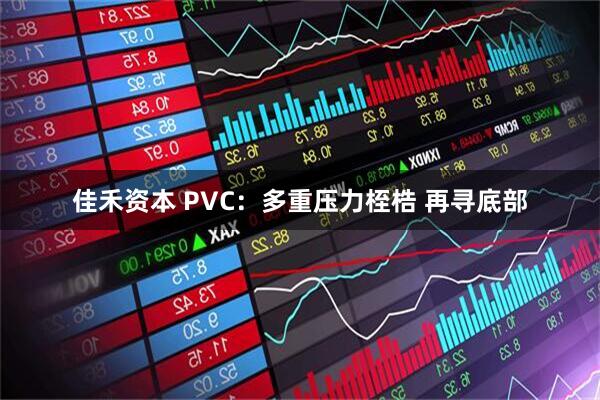 佳禾资本 PVC：多重压力桎梏 再寻底部